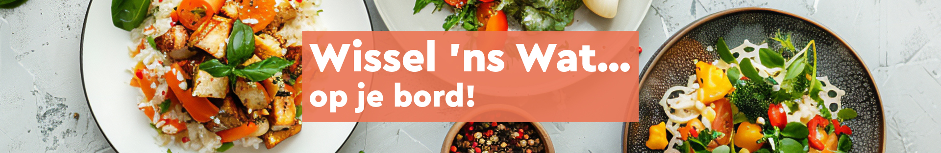 Banner Wissel Ns Wat Def (2)