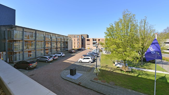 Neede Dewerf 5