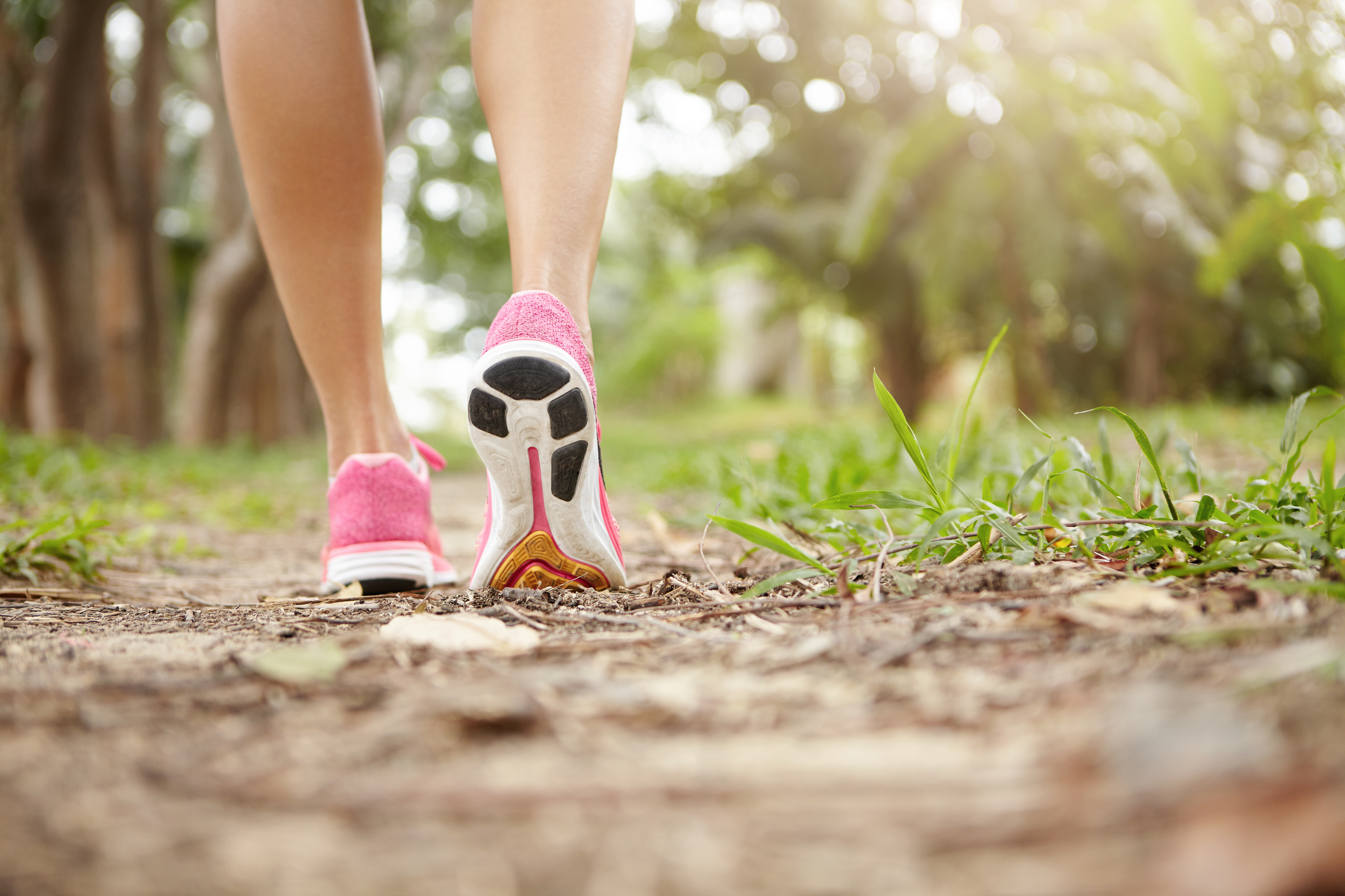 Cropped Shot Athlete Girl Pink Running Shoes Hiking Forest Sunny Day Fit Slim Legs Sporty Female Sneakers Jogging Workout Selective Focus Sole
