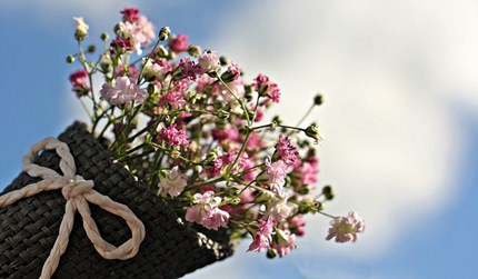 Flowers 1716747 640